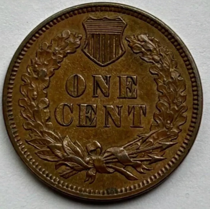 1905-Indian-Head-Cent-For-Grading