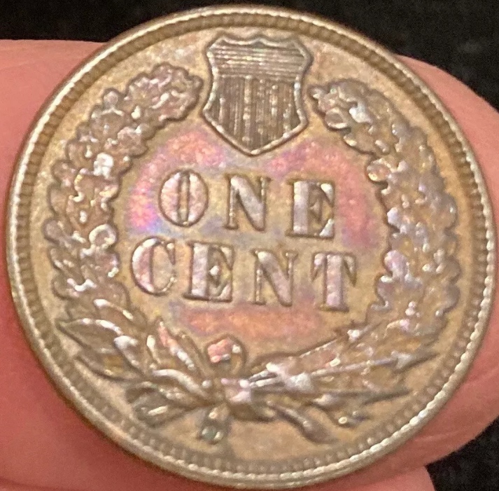 1892-Indian-Head-Cent-For-Grading