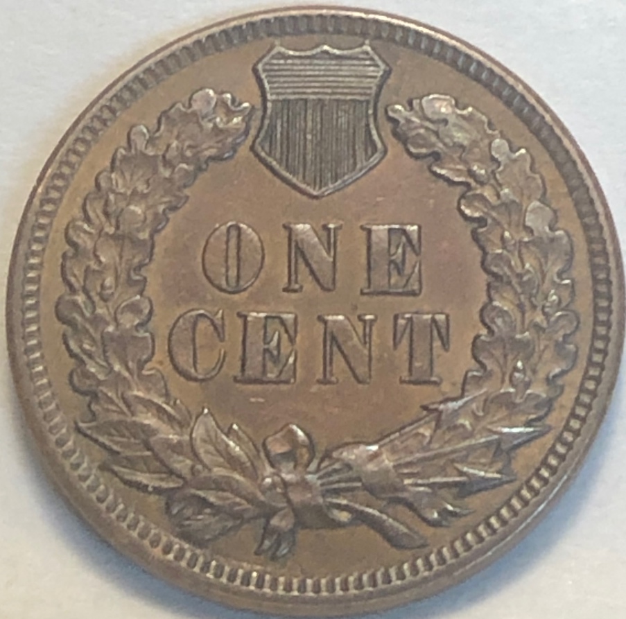 1892-Indian-Head-Cent-For-Grading