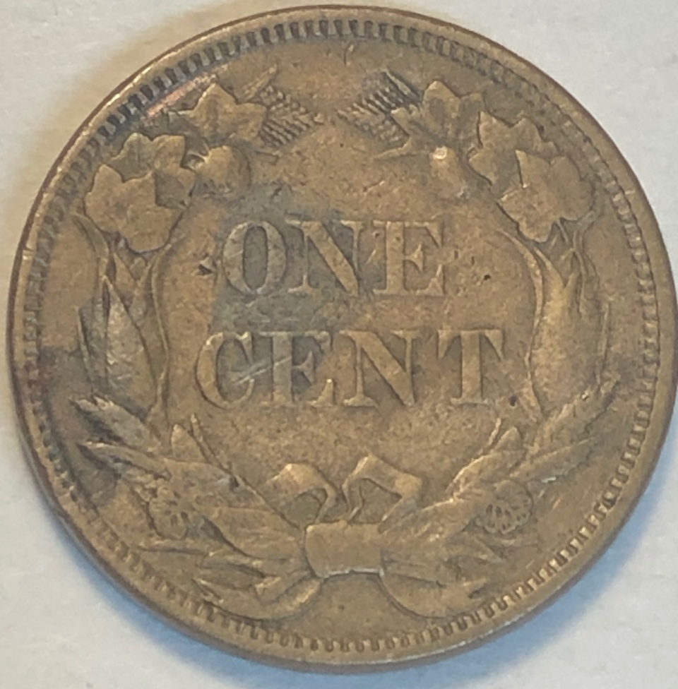 1858-Flying-Eagle-Cent-For-Grading