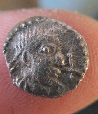 A-Few-New-Finds-From-This-Year