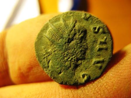 Todays-Finds
