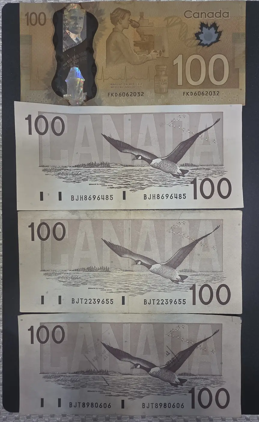 Trying-To-Find-The-Worth-Of-$100-1988-2004