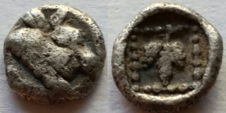 Macedon-AR-Hemiobol-Bull/-Grapes