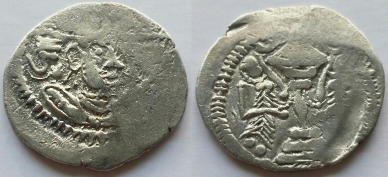 Indo-Sassanian-Coinage---Series-1.1---Early-Types