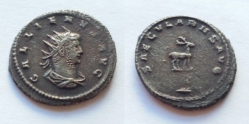 A-Curious-Gallienus---Saecvlares-Avg