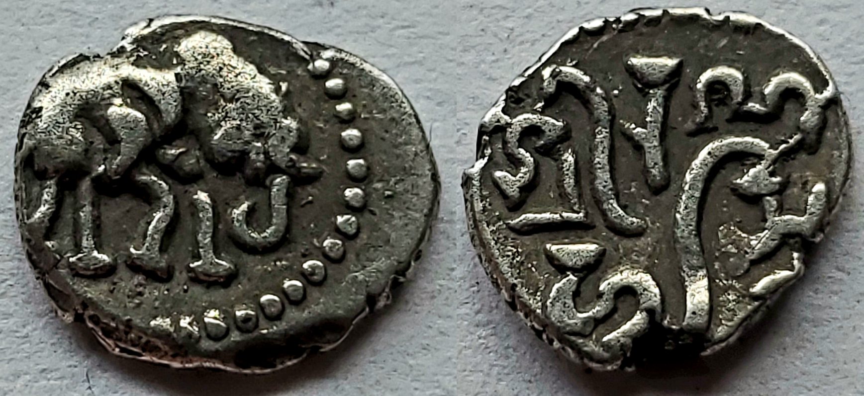 Chalukyas-Of-Gujarat---Rana-Hastin