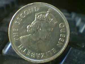 Roll-Search-Finds....