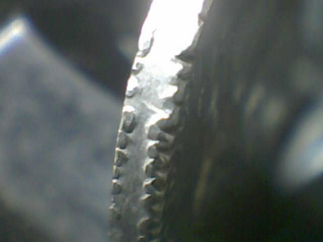 Jefferson-Has-Edge-Denticles