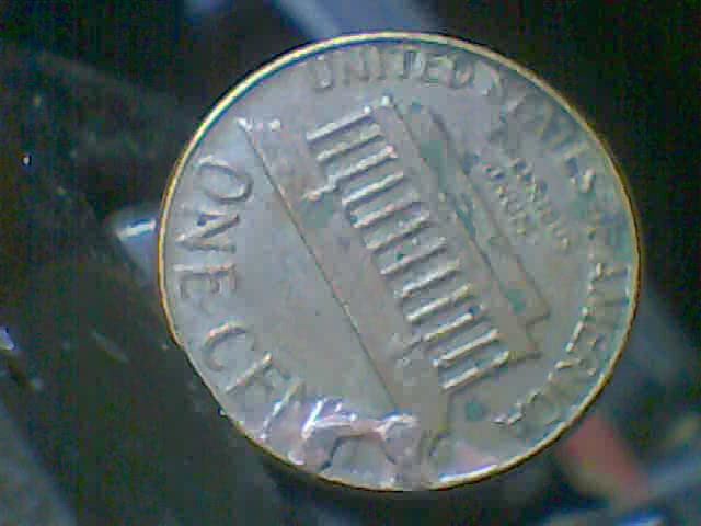 Double-Cud,-Or-What?