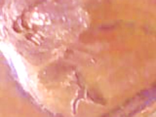 1970-S-Cent-Small-Vs-Large-Date-Repository-&-Attribution