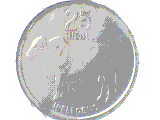 Birth-Year-Set-Coins!