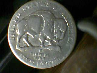 '05-Bald-Bison~-Maytag-Variety