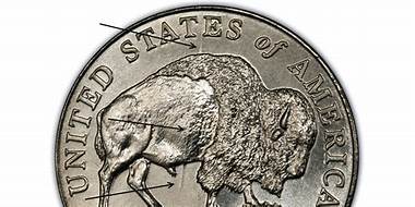 Rarest-2005-D-Speared-Buffalo-Nickel-Plus-Multiple-More-Errors!