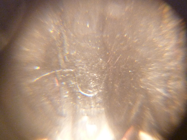 New-1952-Quarter-Proof-Error-Variety?