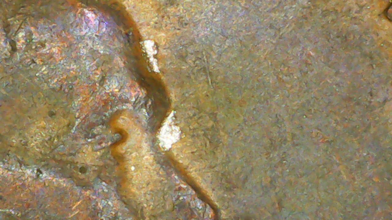 1954-D-Penny-Error-Or-Foreign-Substance?