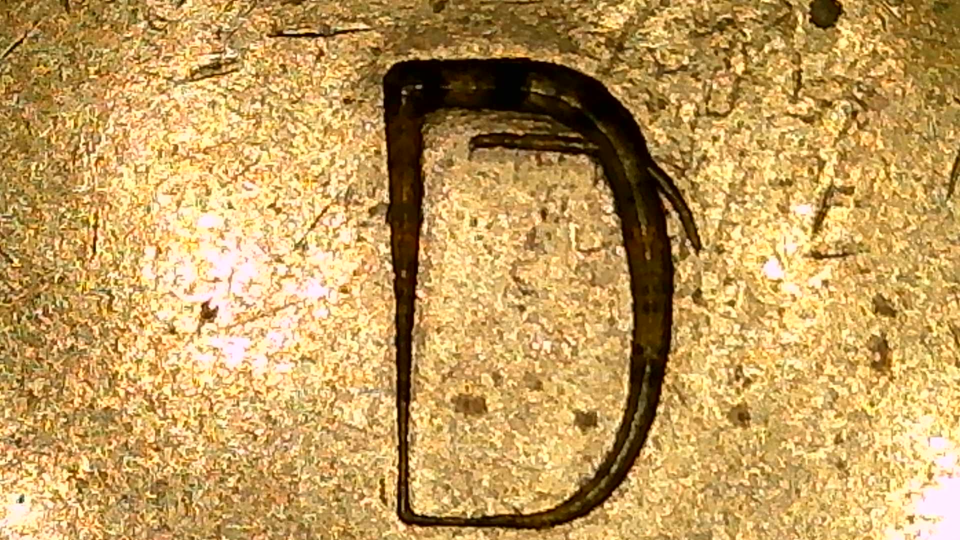 Unidentified-Token-/-Coin-Planchet