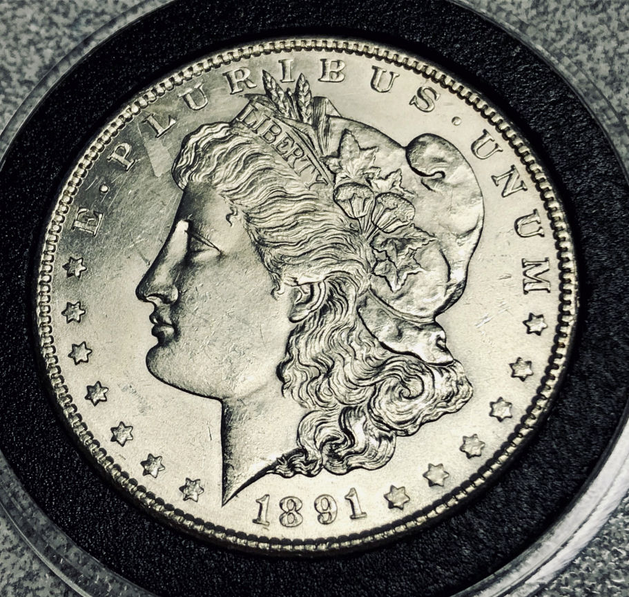 1891-S-Morgan-VAM?-Or-Error-Help