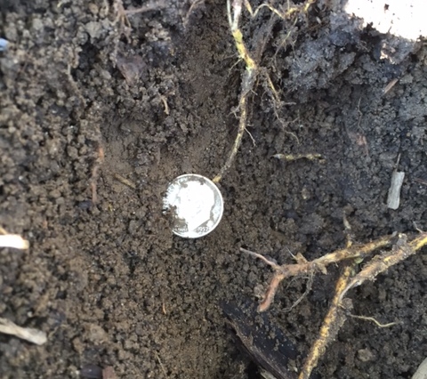 Found-A-Cache,-Not-The-Kind-I'd-Hoped-For--