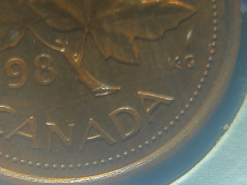 Canadian-Roll-Hunting