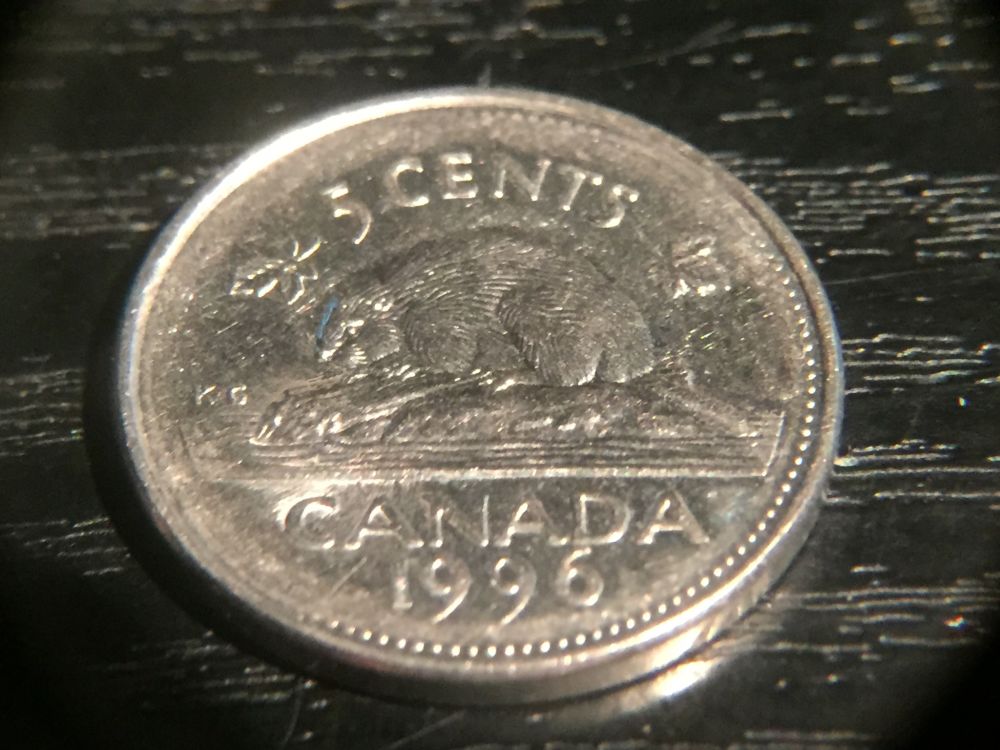 Canadian-Roll-Hunting