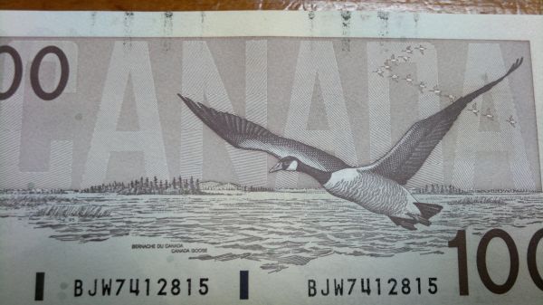 Bank-Notes-With-Streaking-Ink...