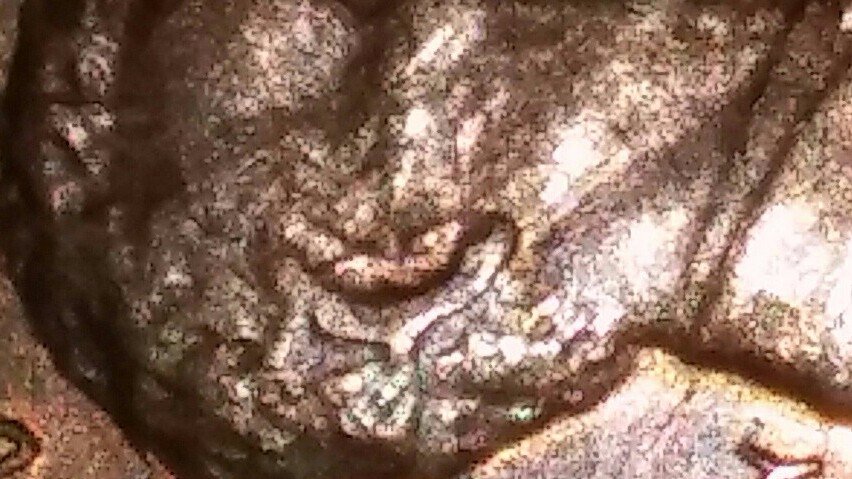 Need-Help-Verifying-If-Coun-Is-Double-Die-1969-S-Penny
