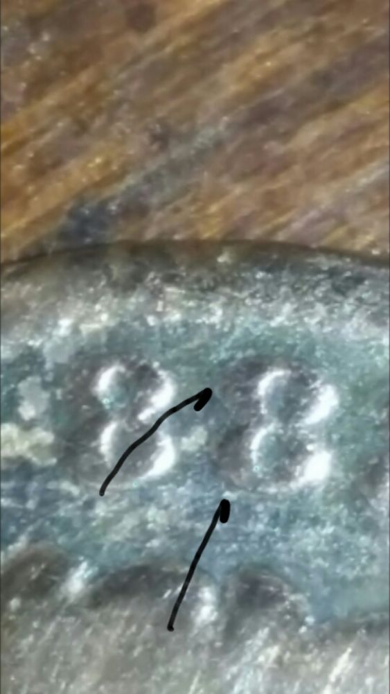 Possible-1888/7-Indian-Head-Overdate
