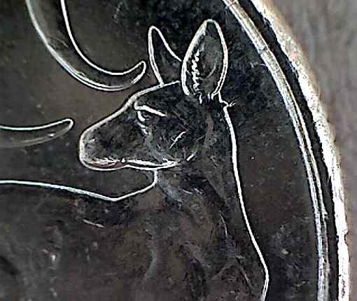 2011-Mob-Of-Roos-$1-Cud