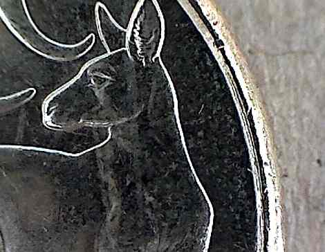 2011-Mob-Of-Roos-$1-Cud