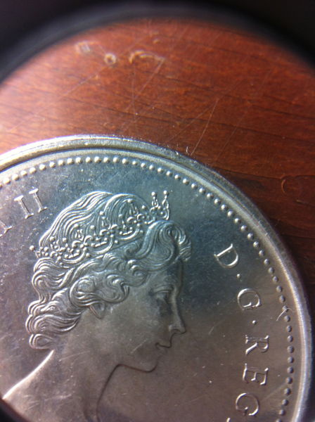 1973-Canadian-Quarter-Large-Bust-Or-Small-Bust