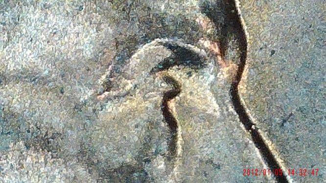 1996-P&d-Pennys-Double-Ear,-Eye,-Open-Mouth