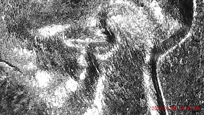 1958-D-Lincoln-Penny-New-Discovery!