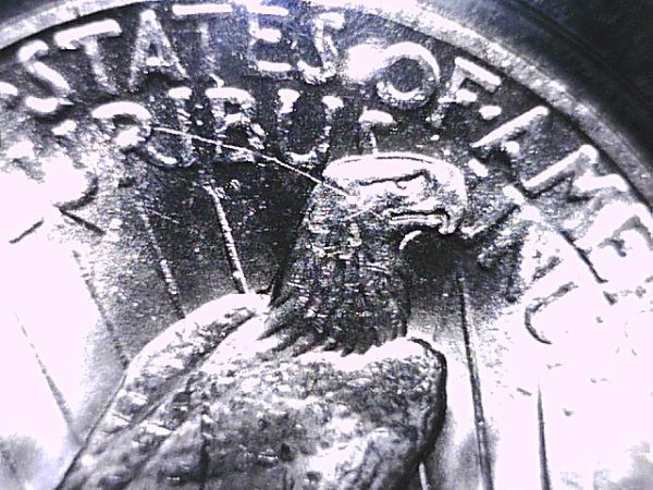 1922-Peace-Dollar-Reverse-Crack-+-Wing-Spike?--Help-Please