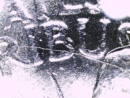 1922-Peace-Dollar-Reverse-Crack-+-Wing-Spike?--Help-Please