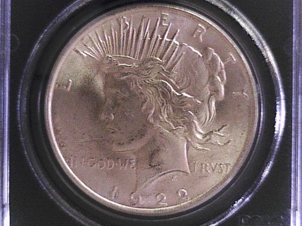 1922-Peace-Dollar-Reverse-Crack-+-Wing-Spike?--Help-Please