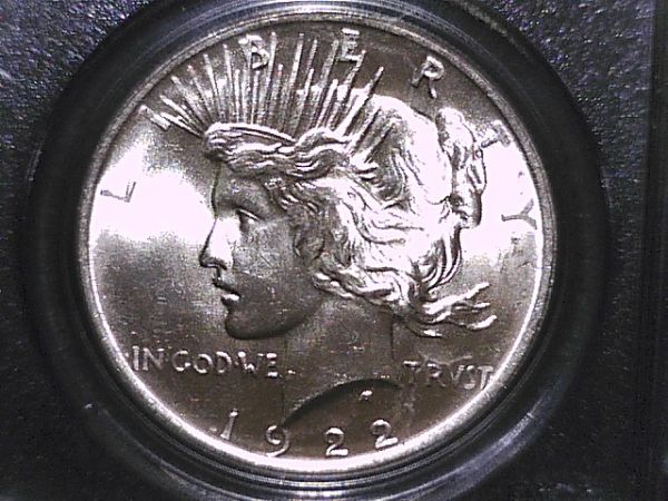 1922-Peace-Dollar-Reverse-Crack-+-Wing-Spike?--Help-Please