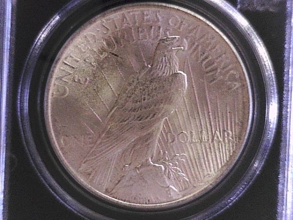1922-Peace-Dollar-Reverse-Crack-+-Wing-Spike?--Help-Please