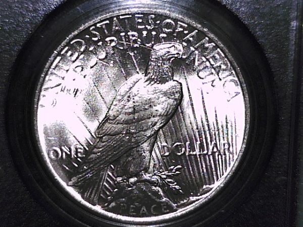 1922-Peace-Dollar-Reverse-Crack-+-Wing-Spike?--Help-Please