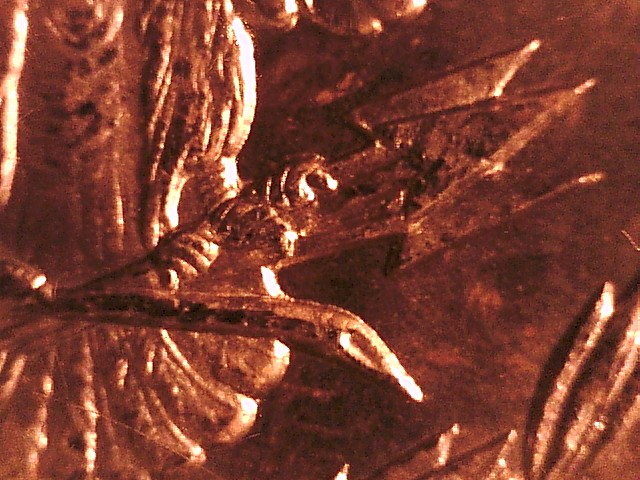 1885-O-Morgan-With-Dash-Under-8-But-No-Dentil-Mark....?