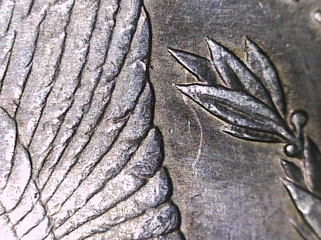 1889-O-Morgan-Dollar-Spiked-Wing?....vam?