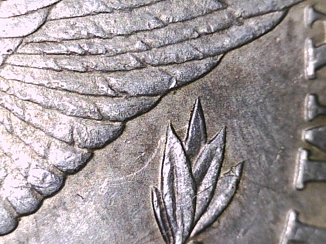 1889-O-Morgan-Dollar-Spiked-Wing?....vam?