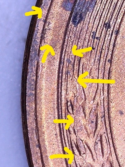 1955-S-Lincoln-Cent---Double-Retained-Cud