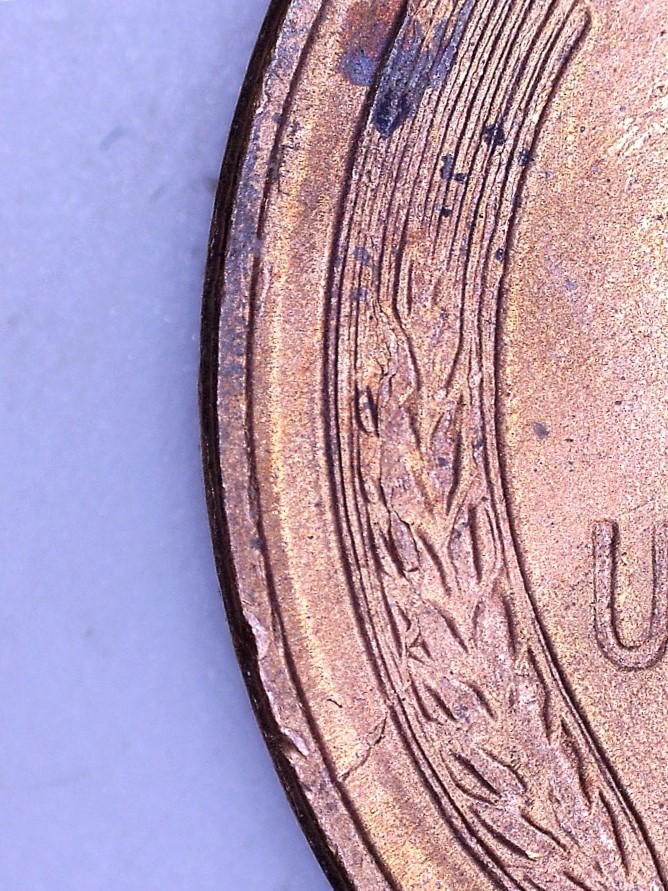 1955-S-Lincoln-Cent---Double-Retained-Cud