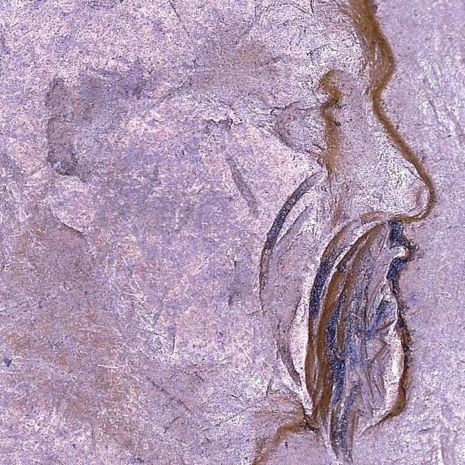 1930-Not-Lincoln-Cent---Just-For-Fun