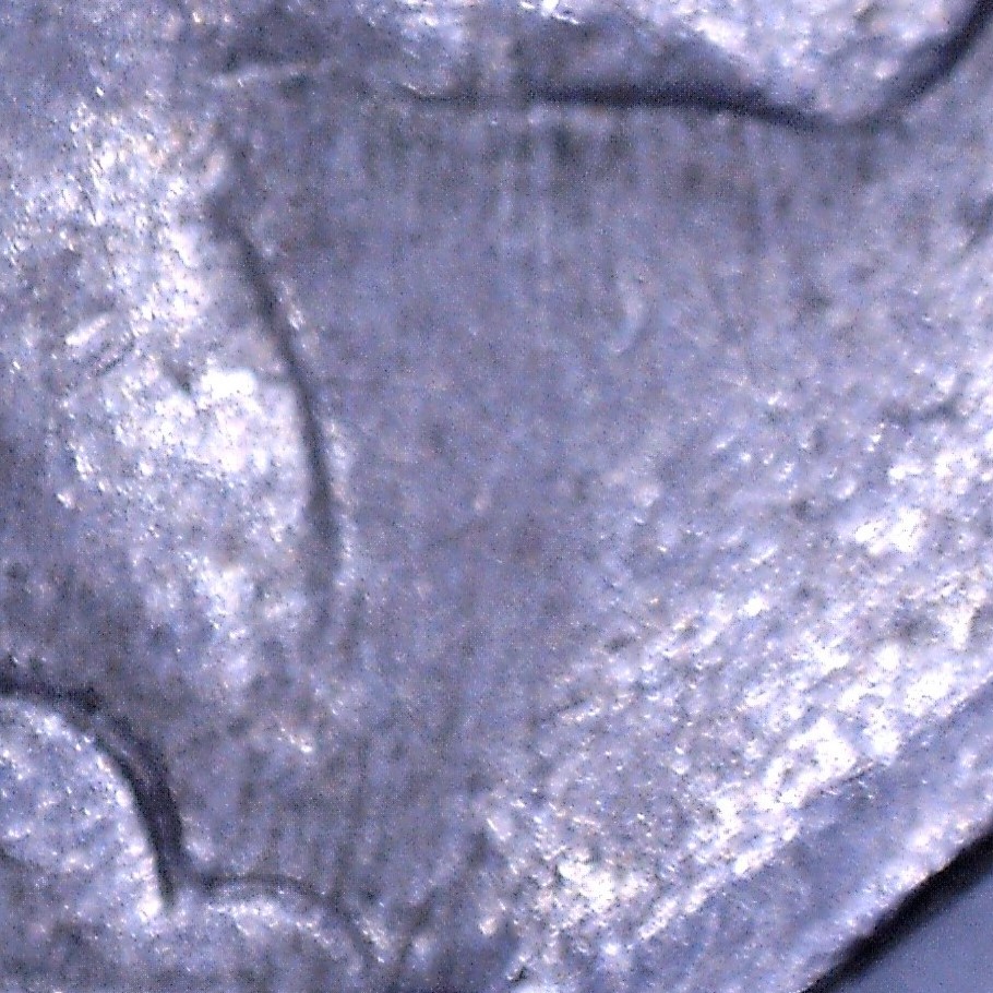 1937-D-Buffalo-Nickel-RPM-003