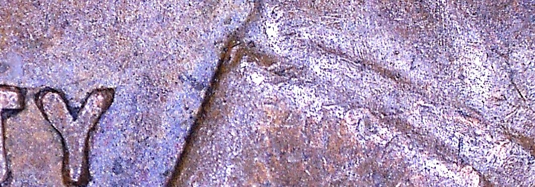 1956-D-Lincoln-Cent---New-Ldb?