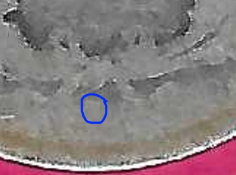 1895?-Barber-Dime-For-Grading-And-Mintmark-Verification