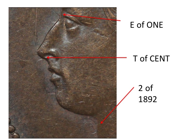 OK-Lets-See-All-Your-Large-Cent-Varieties-From-1876-And-On