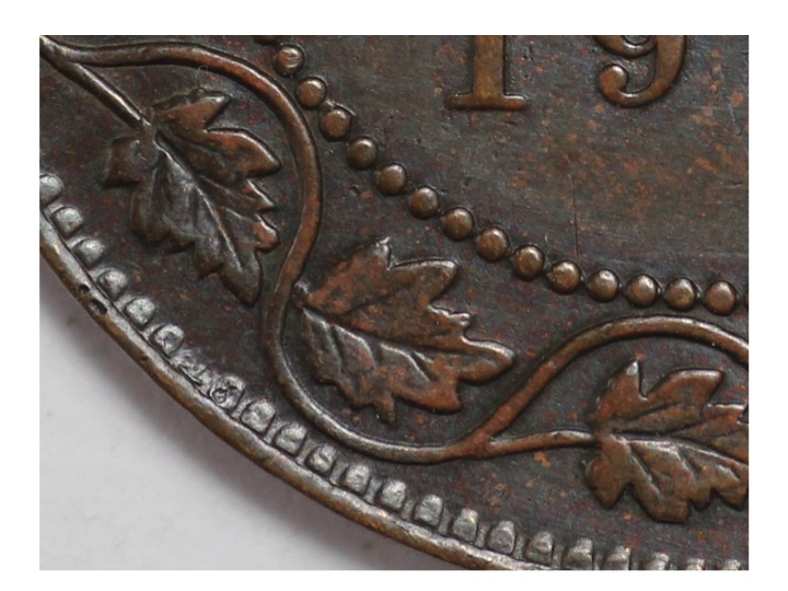 OK-Lets-See-All-Your-Large-Cent-Varieties-From-1876-And-On
